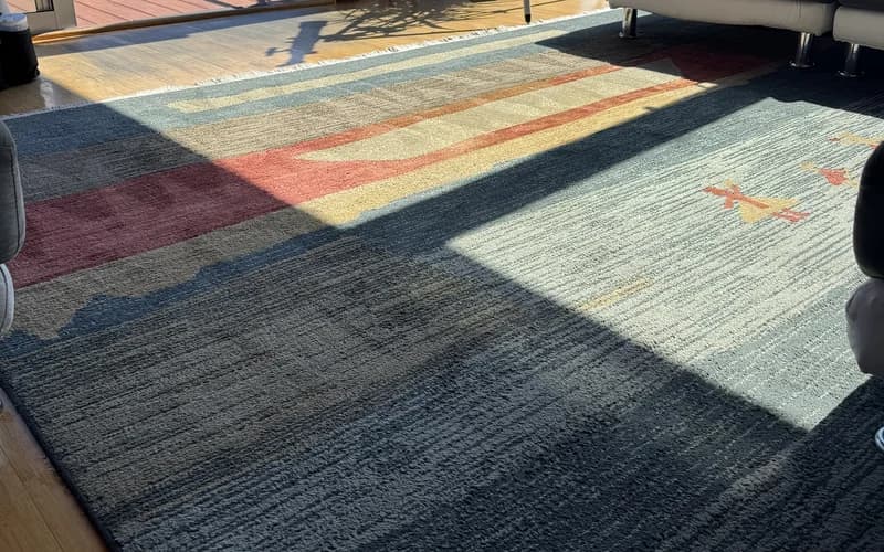 Area rug — after cleaning
