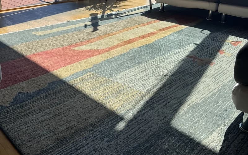 Area rug — before cleaning